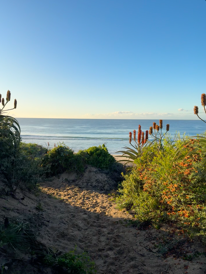Google Maps: Insider's Guide to Plett